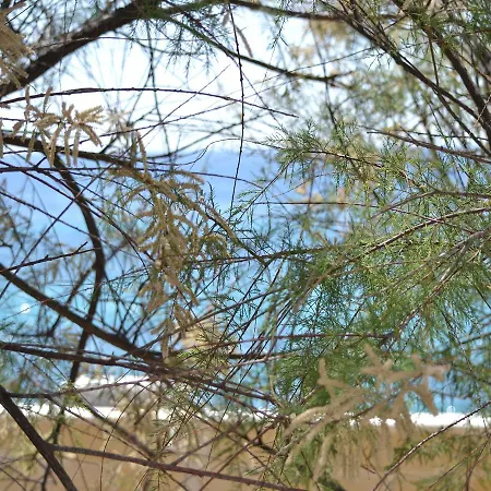 Bed and Breakfast Incanto Delle Ninfe Ταράντο